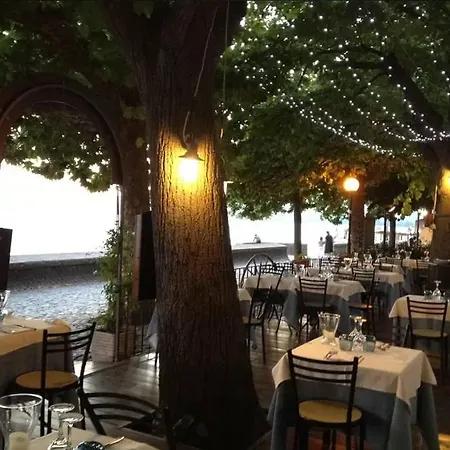 Sesa * Trevignano Romano